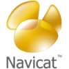 Navicat Data Modeler - Commercial License