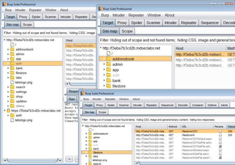 difference between burp suite professional and enterprise